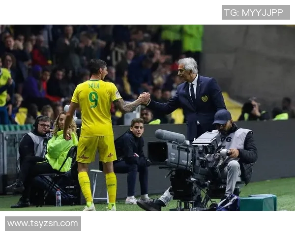 尼姆与南特历史交锋记录分析及比赛结果回顾